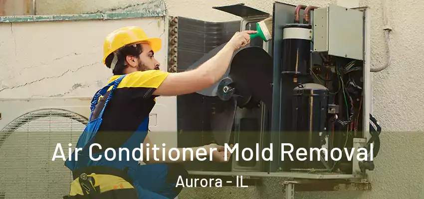  Air Conditioner Mold Removal Aurora - IL