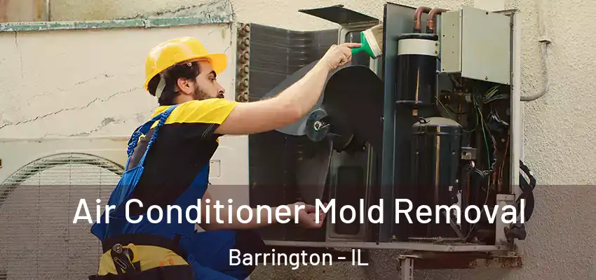  Air Conditioner Mold Removal Barrington - IL
