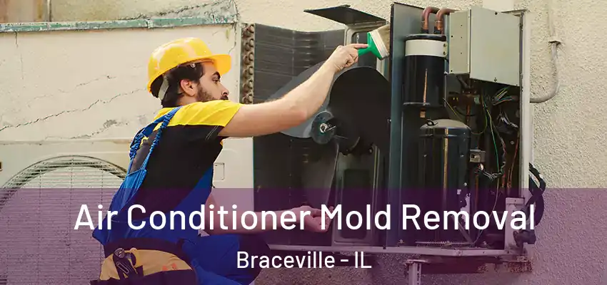  Air Conditioner Mold Removal Braceville - IL