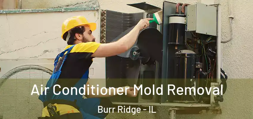  Air Conditioner Mold Removal Burr Ridge - IL