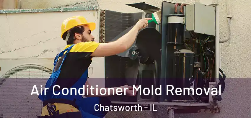  Air Conditioner Mold Removal Chatsworth - IL