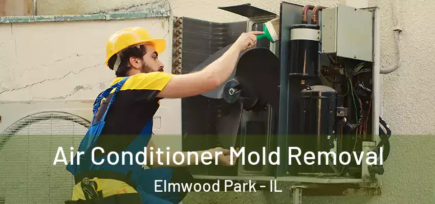  Air Conditioner Mold Removal Elmwood Park - IL