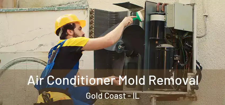  Air Conditioner Mold Removal Gold Coast - IL