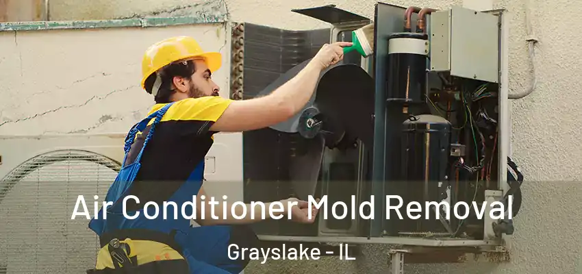  Air Conditioner Mold Removal Grayslake - IL