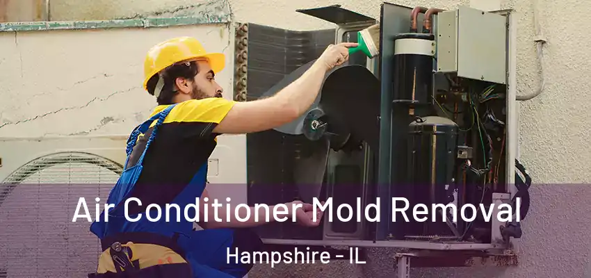  Air Conditioner Mold Removal Hampshire - IL