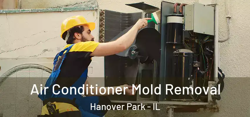  Air Conditioner Mold Removal Hanover Park - IL