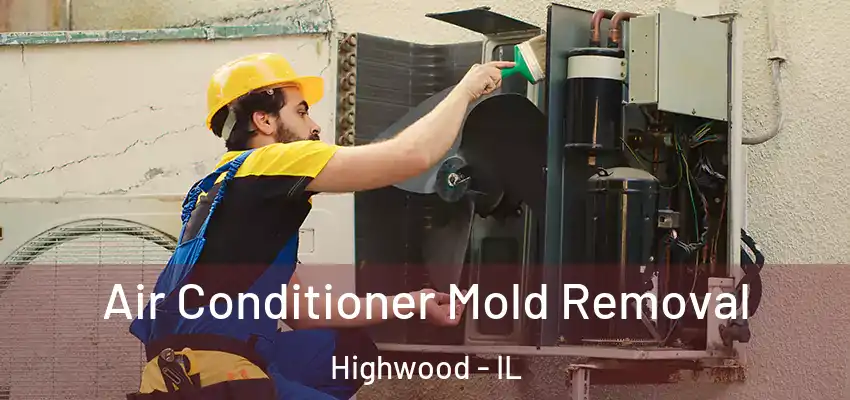  Air Conditioner Mold Removal Highwood - IL