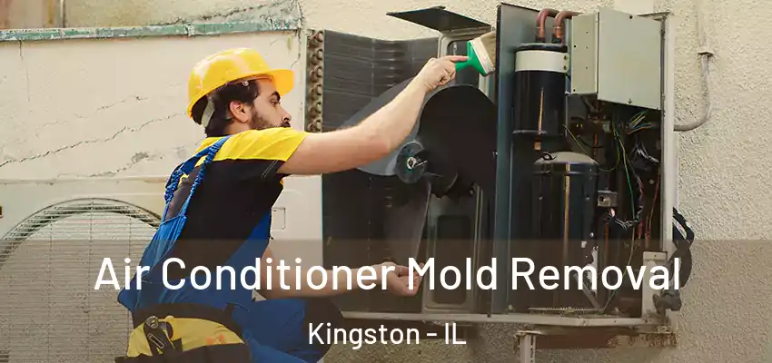 Air Conditioner Mold Removal Kingston - IL