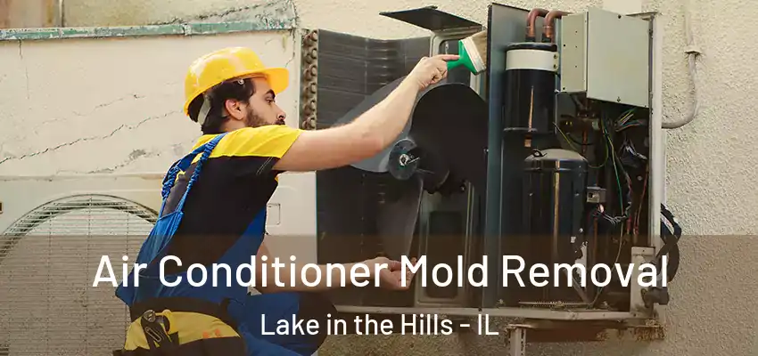 Air Conditioner Mold Removal Lake in the Hills - IL