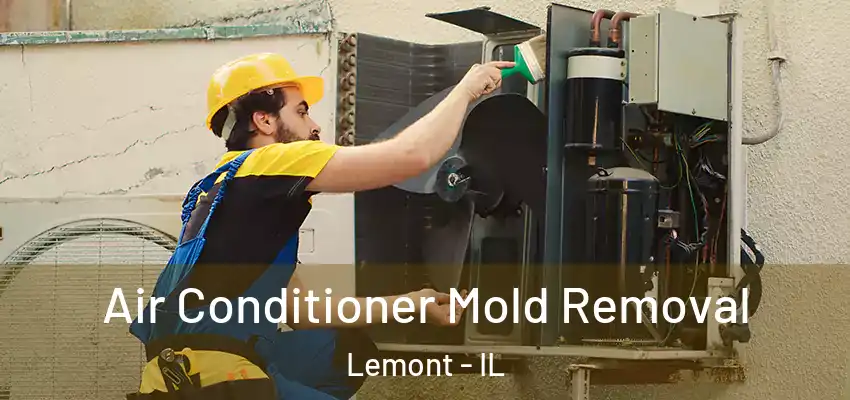  Air Conditioner Mold Removal Lemont - IL