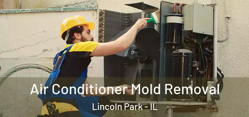  Air Conditioner Mold Removal Lincoln Park - IL