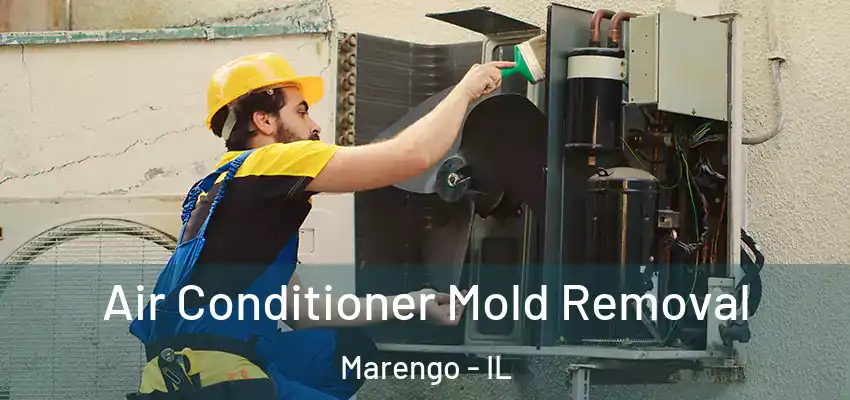  Air Conditioner Mold Removal Marengo - IL