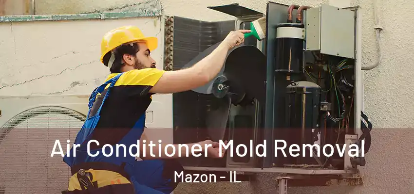  Air Conditioner Mold Removal Mazon - IL