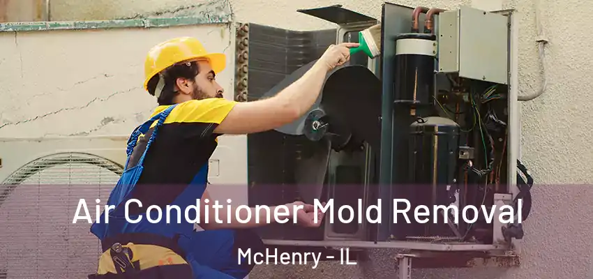  Air Conditioner Mold Removal McHenry - IL
