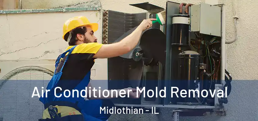  Air Conditioner Mold Removal Midlothian - IL