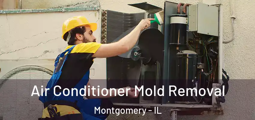  Air Conditioner Mold Removal Montgomery - IL