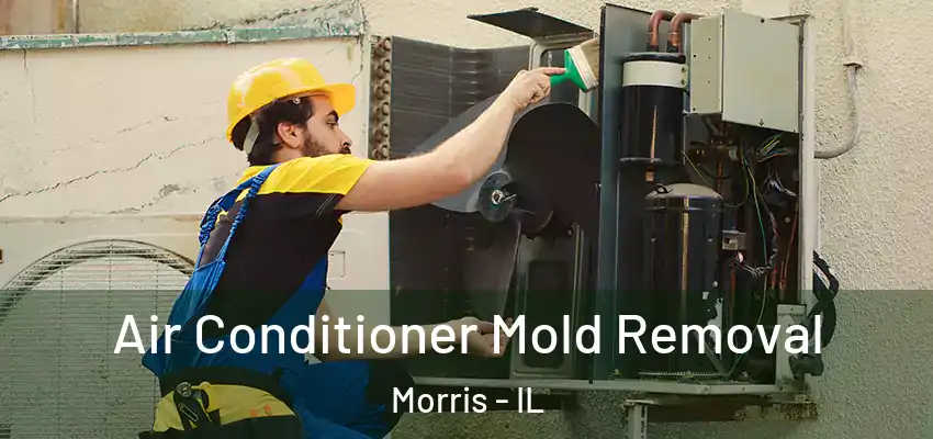 Air Conditioner Mold Removal Morris - IL