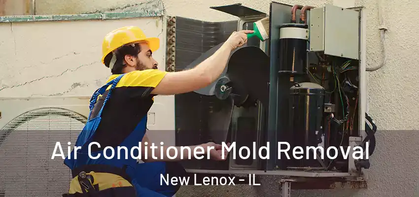  Air Conditioner Mold Removal New Lenox - IL