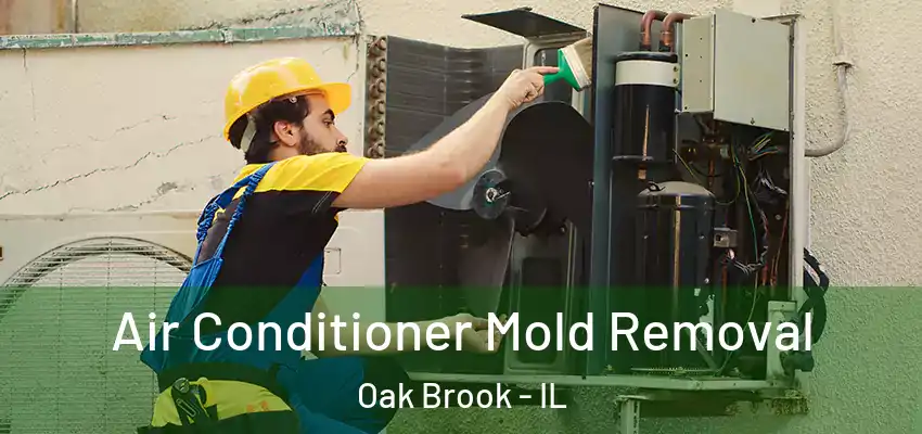  Air Conditioner Mold Removal Oak Brook - IL