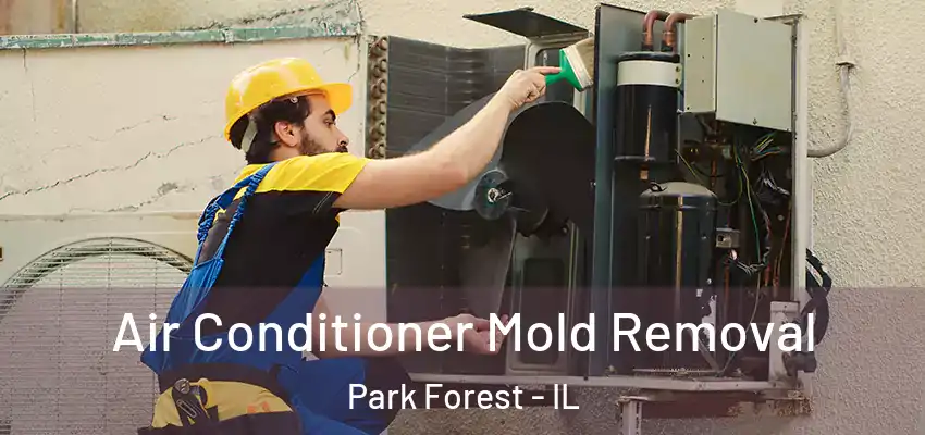  Air Conditioner Mold Removal Park Forest - IL