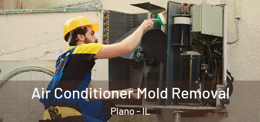  Air Conditioner Mold Removal Plano - IL