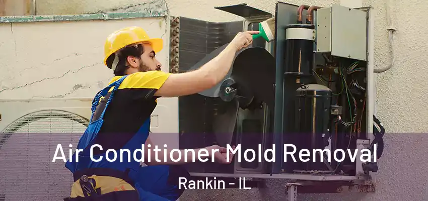  Air Conditioner Mold Removal Rankin - IL