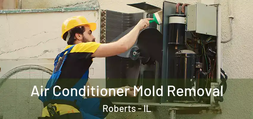  Air Conditioner Mold Removal Roberts - IL