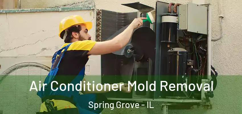  Air Conditioner Mold Removal Spring Grove - IL