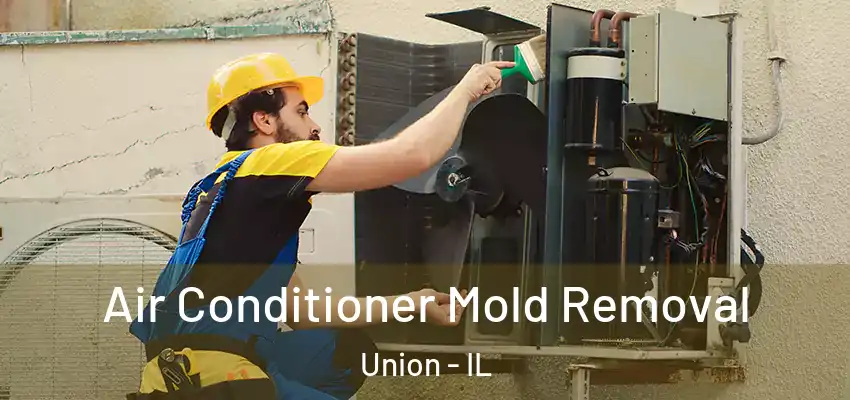  Air Conditioner Mold Removal Union - IL