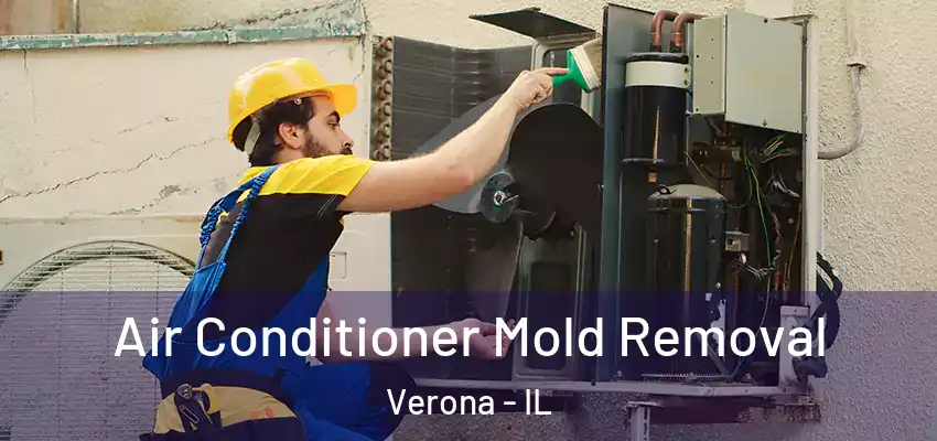  Air Conditioner Mold Removal Verona - IL