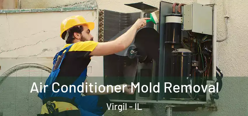  Air Conditioner Mold Removal Virgil - IL