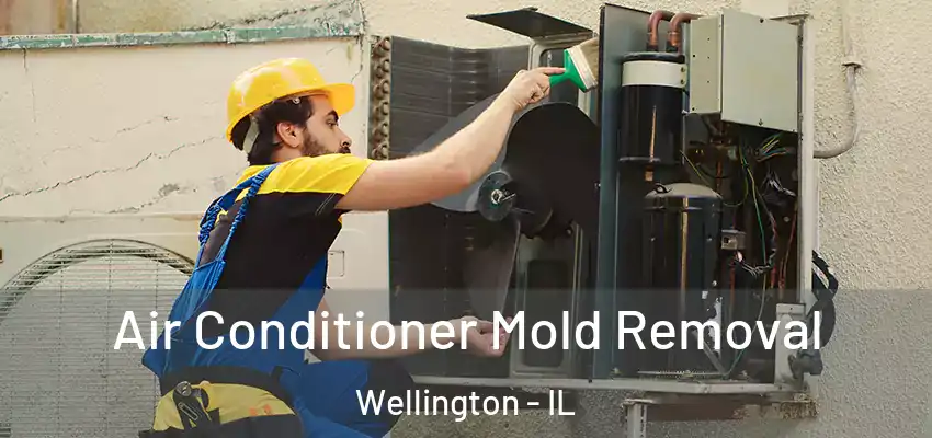  Air Conditioner Mold Removal Wellington - IL