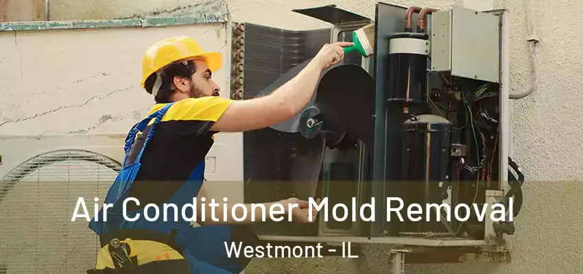  Air Conditioner Mold Removal Westmont - IL