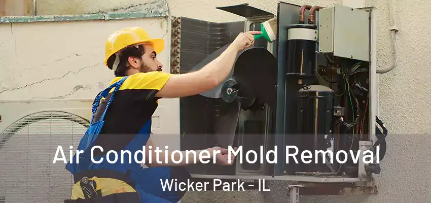  Air Conditioner Mold Removal Wicker Park - IL