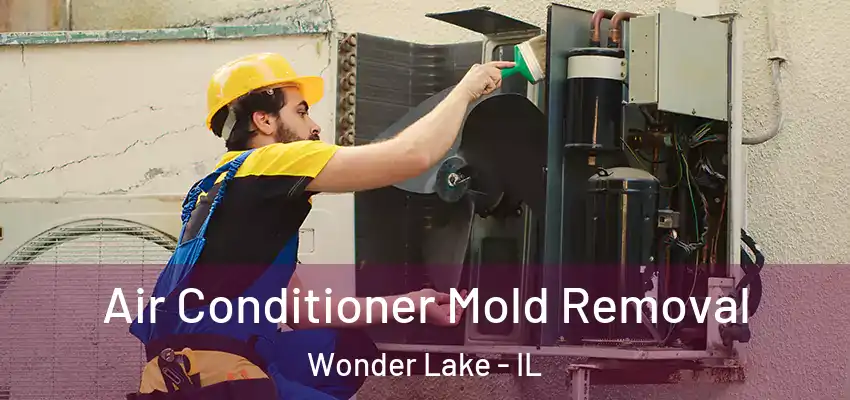 Air Conditioner Mold Removal Wonder Lake - IL