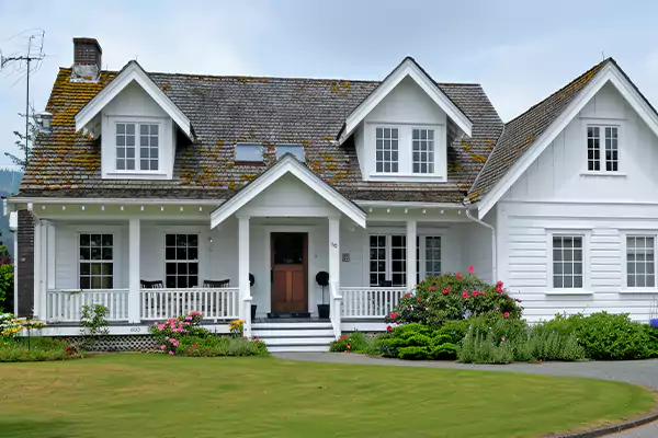 Mold Inspection Services in Elgin, IL