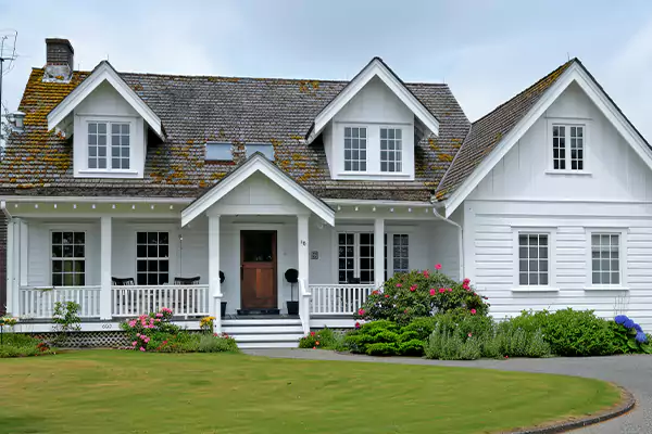 Mold Removal Services in Elgin, IL