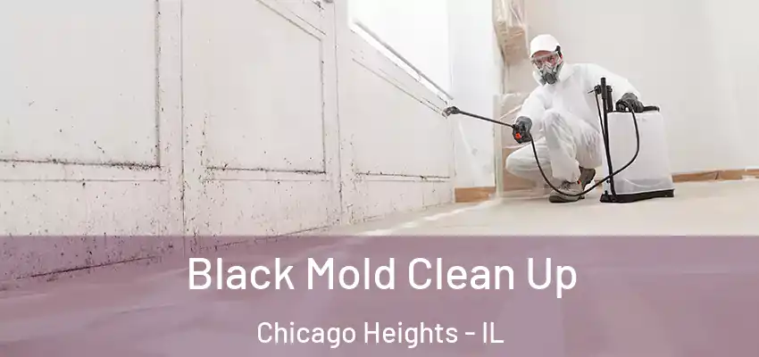  Black Mold Clean Up Chicago Heights - IL