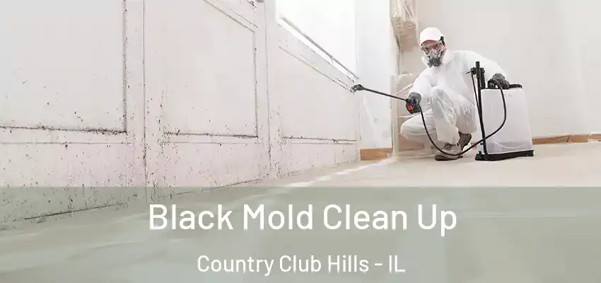  Black Mold Clean Up Country Club Hills - IL