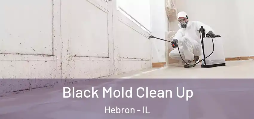  Black Mold Clean Up Hebron - IL