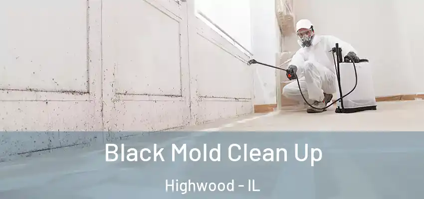 Black Mold Clean Up Highwood - IL