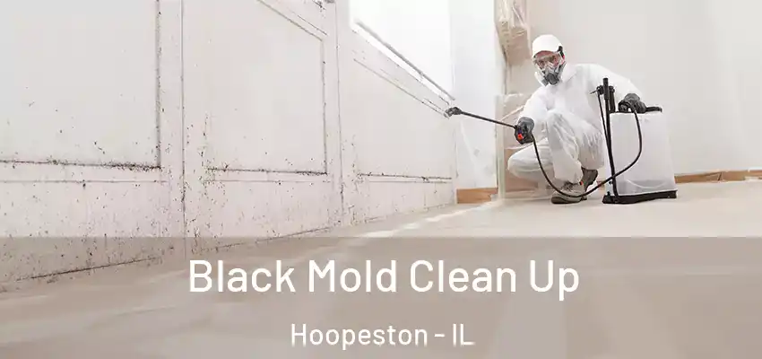  Black Mold Clean Up Hoopeston - IL