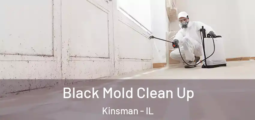  Black Mold Clean Up Kinsman - IL