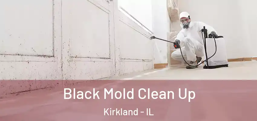 Black Mold Clean Up Kirkland - IL