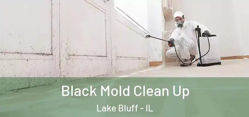  Black Mold Clean Up Lake Bluff - IL