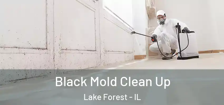  Black Mold Clean Up Lake Forest - IL