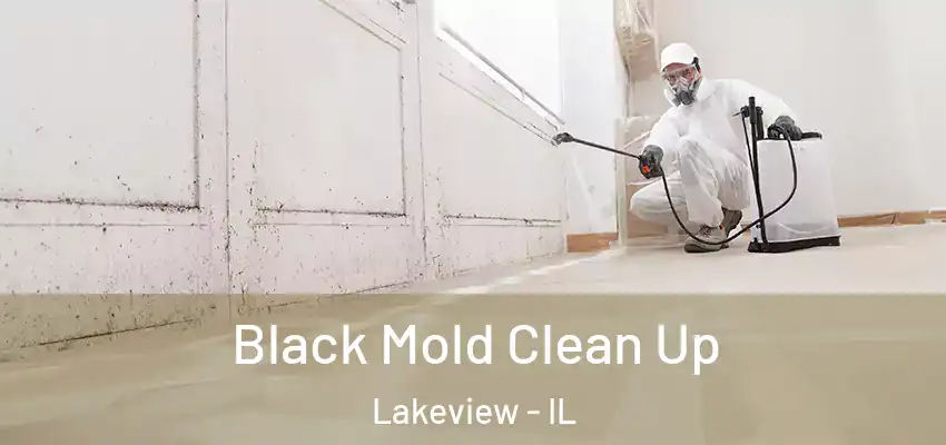  Black Mold Clean Up Lakeview - IL