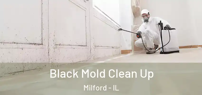 Black Mold Clean Up Milford - IL