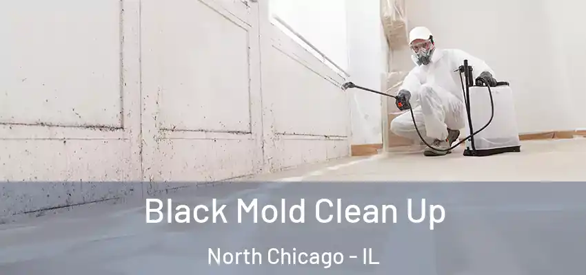 Black Mold Clean Up North Chicago - IL