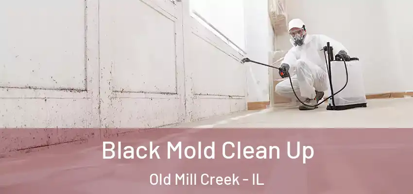  Black Mold Clean Up Old Mill Creek - IL